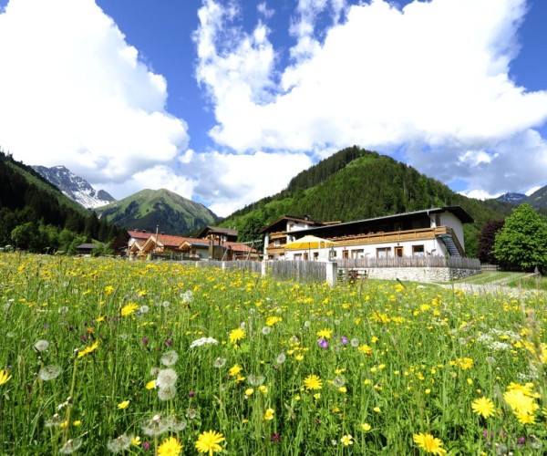 Luxury Chalets & Appartements Wiesenruh