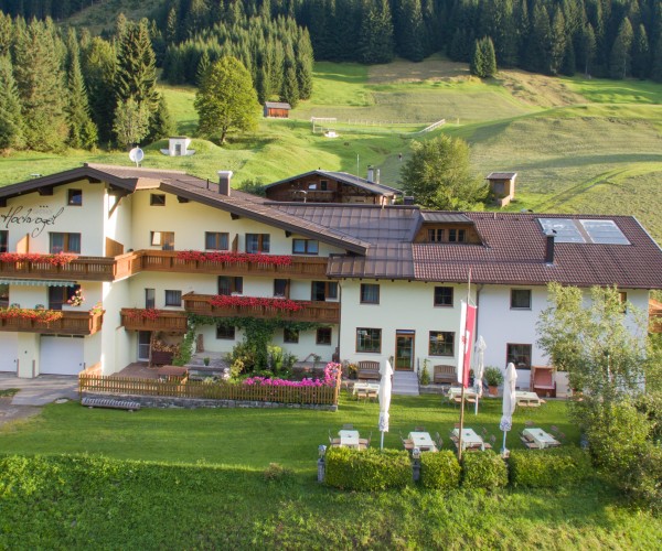 Hochvogel