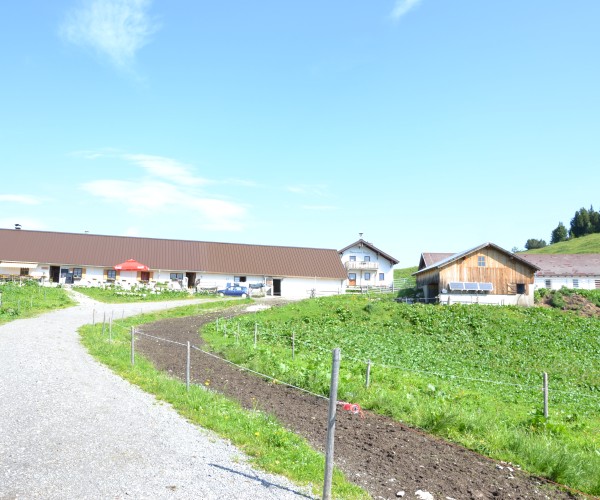 Sennalpe Raaz