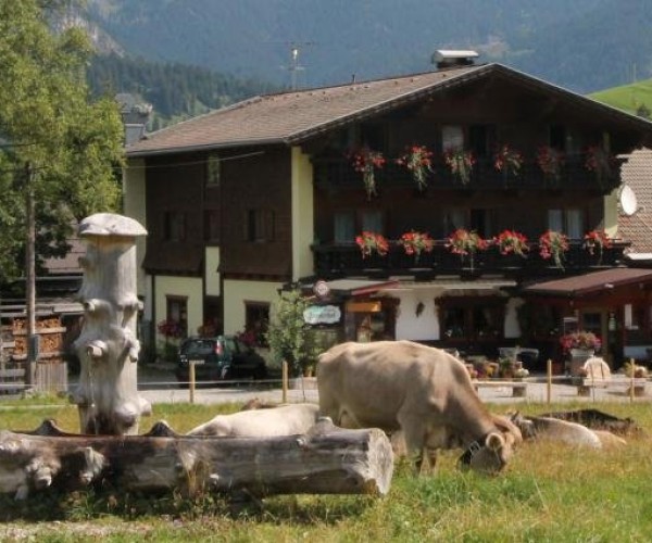 Pension Tirolerhof